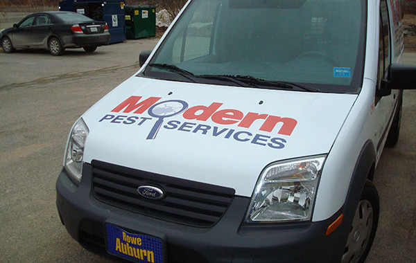 Modern Pest Services